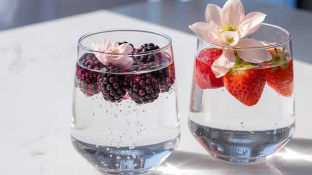 2 Dividend Stocks to Buy and Hold Forever