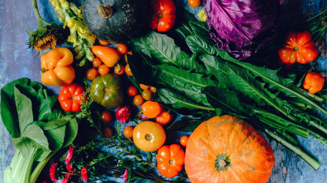 Have $1,000? These 2 Stocks Could Be Bargain Buys for 2026 and Beyond