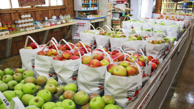 Dow futures gain as markets brace for busy week: here’s 5 stocks to watch