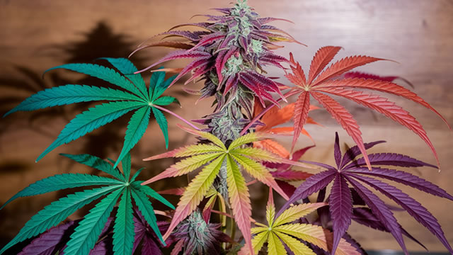 April 2026 Watchlist: Leading Ancillary Cannabis Stocks to Know