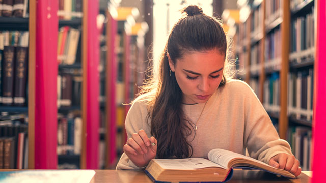 4 Schools Stocks Riding AI and Healthcare Demand Trends